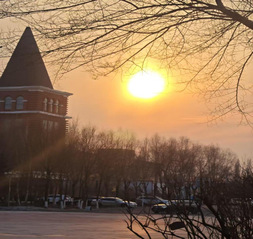 心阳灿烂赴春约&nbsp;传媒文旅润心田...